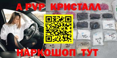 спиды Моздок