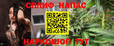 спиды Моздок